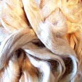 Silk and Exotic Fibres