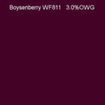 BOYSENBERRY ProChem DYE