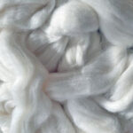 Lightening Corriedale