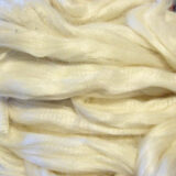 bleached white
